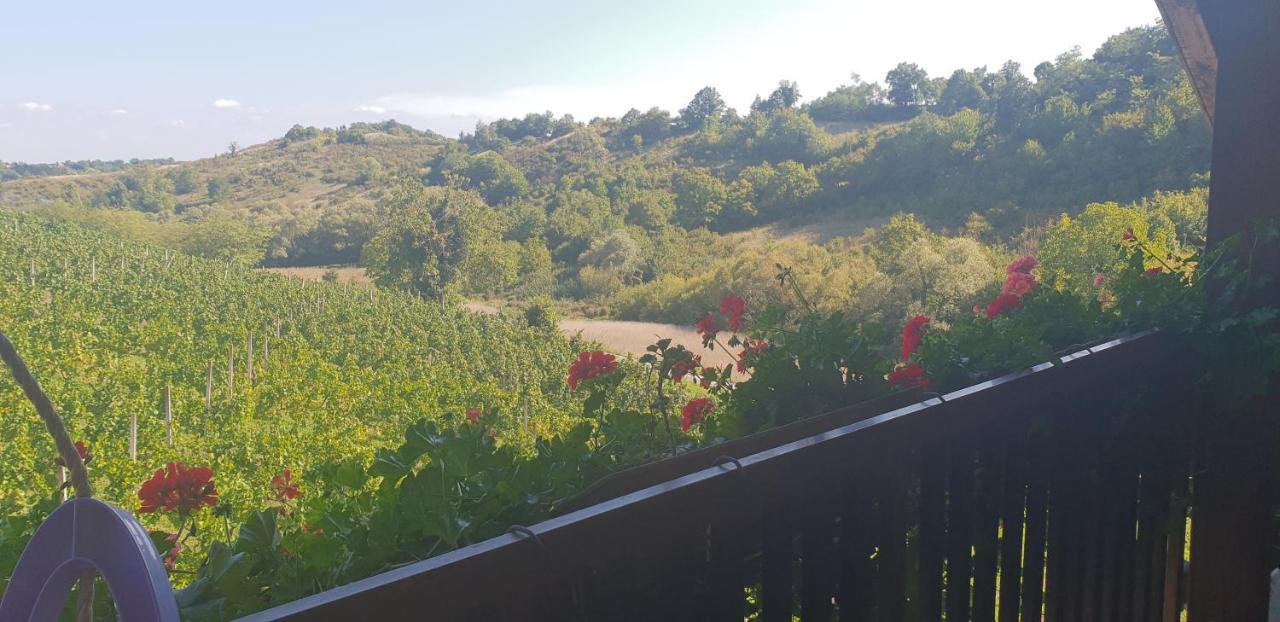 Klet Jana Bed & Breakfast Jastrebarsko Exterior photo